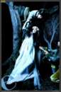 Photo Number 17