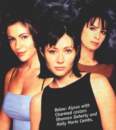 Photo Number 15
