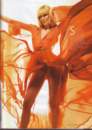 Photo Number 11