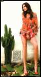 Photo Number 11