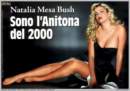 Photo Number 13