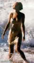 Photo Number 15